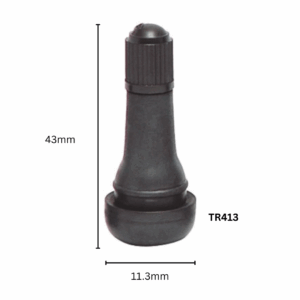 VALVE TUBELESS TR413 P100